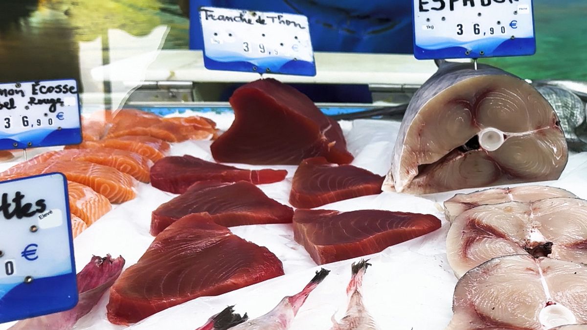 Is the EU going to lower the levels of mercury allowed in tuna?