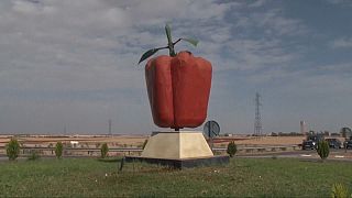 Morocco's red pepper season set back by drought