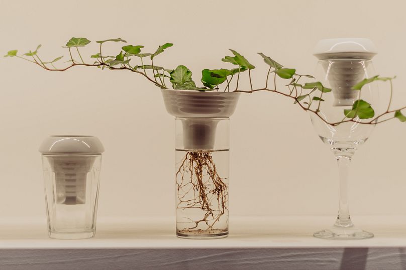 Install image - PLANTATION by Alicja Patanowska at the Urban Farmer Project. 