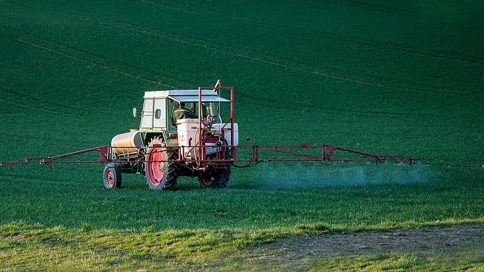 Despite insect protection laws, EU has authorised dozens of dangerous pesticides, new report finds