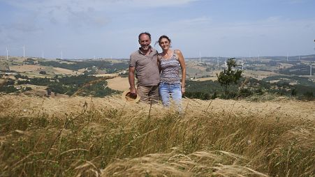 Marzellina wheat is durum, historically grown in the Val Fortore, in Campania