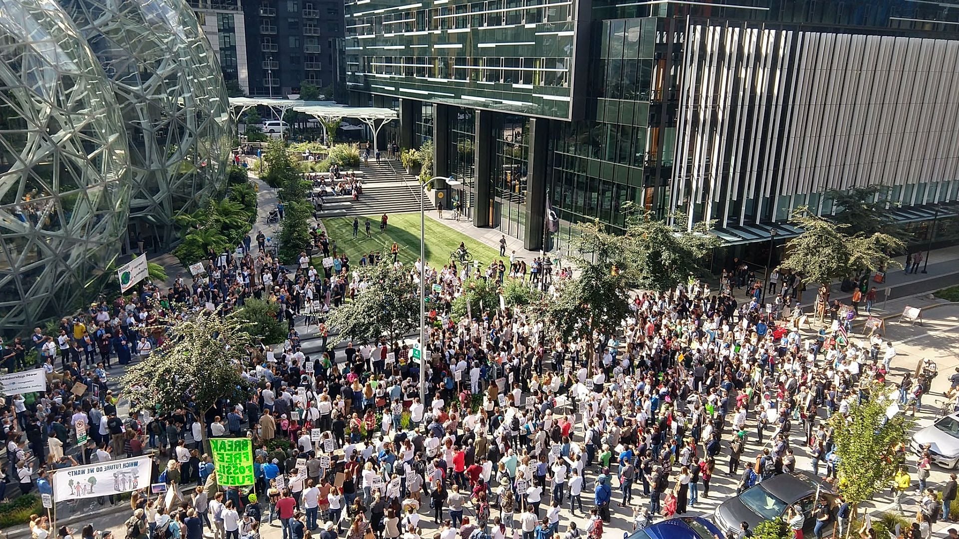 Black Friday: Amazon workers striking over company's broken climate ...
