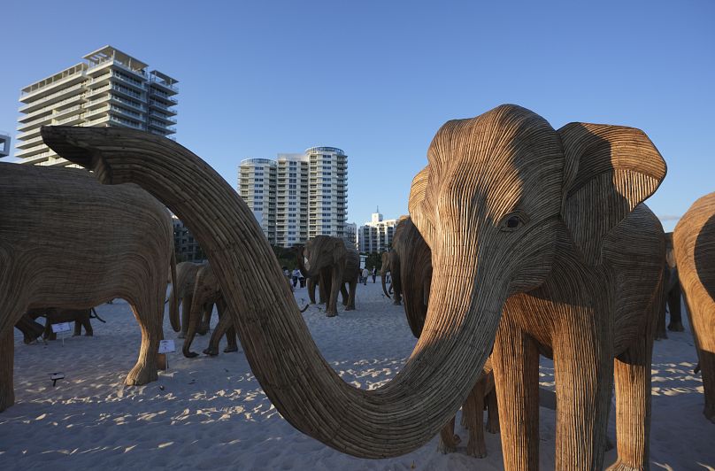 The Great Elephant Migration art installation, which is traveling across the United States promoting human-wildlife coexistence, is displayed during Miami Art Week. 