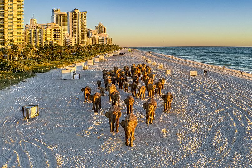 “The Great Elephant Migration” in Miami Beach. 