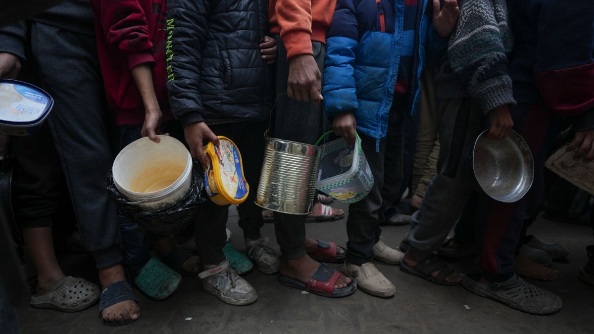 غزة تكافح للبقاء وسط الموت والنزوح والجوع ونعيم قاسم: "انتصرنا لأننا منعنا العدو من تدمير حزب الله"