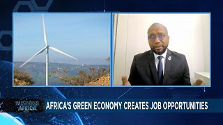 Africa’s Green Economy: A Job Creation Revolution by 2030 {Business Africa}