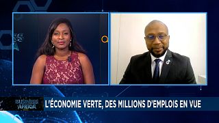 Économie verte : des millions d'emplois en vue [Business Africa]