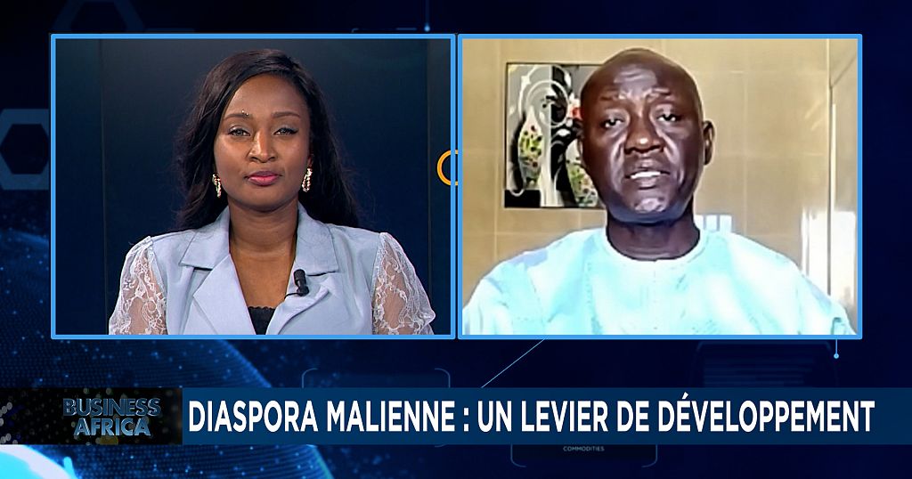 Mali : investissements de la diaspora, agriculture et tourisme [Business Africa]