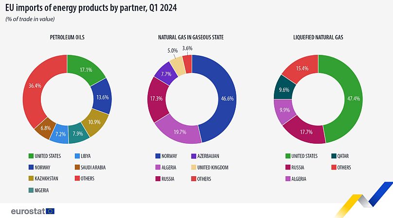 EU energy imports