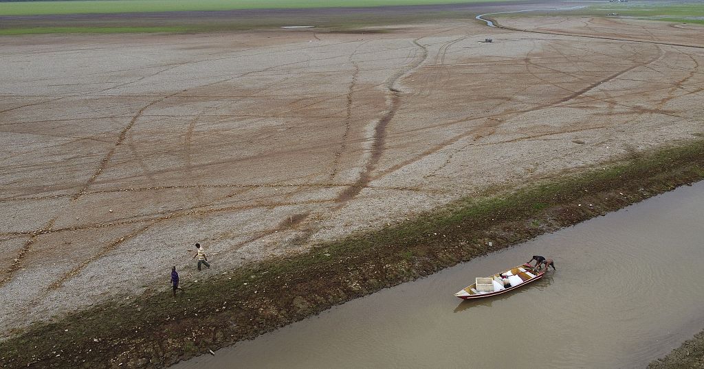 IFAD calls for urgent action to tackle desertification