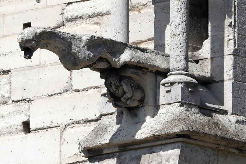 Un gargouille a Notre-Dame