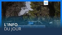 L’info du jour | 3 décembre - Soir