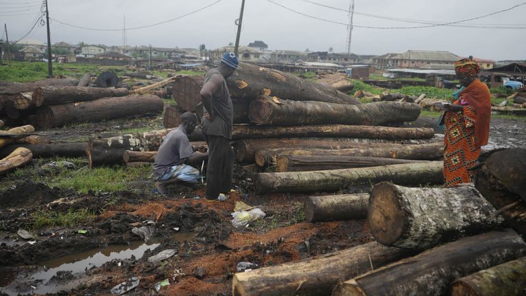 People look over timber, some of which came from the Omo Forest Reserve, to be sold at a market in Ijebu-Ode, Nigeria, on Tuesday, Aug. 1, 2023