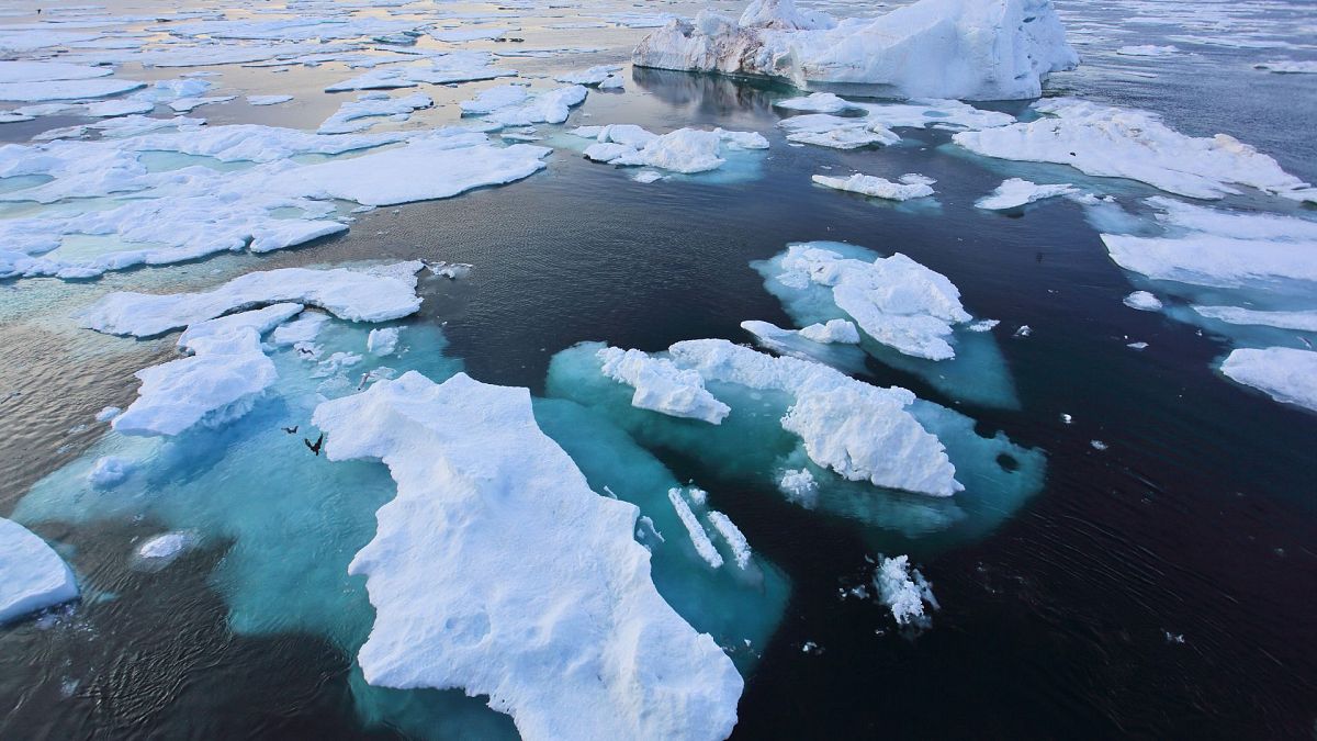 The Arctic could be ice-free by summer 2027: What it means for weather, shipping and polar bears