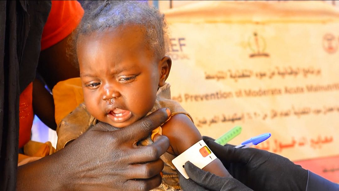Video. Sudan faces severe food crisis | Euronews