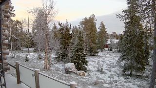 Kuusamo webcam showing a light covering of snow, 5 December 2024