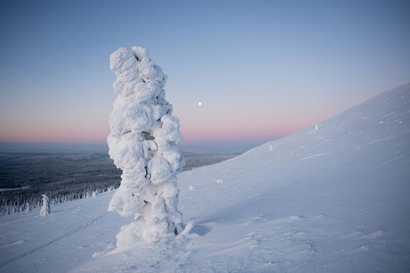 Temperaturas invulgarmente quentes não permitiram a ocorrência de nevões como este.