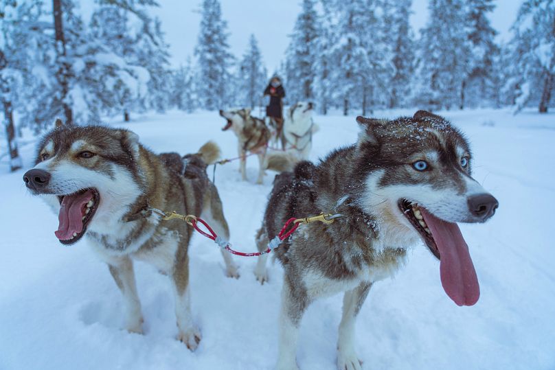 A neve é uma das principais atrações da Lapónia.