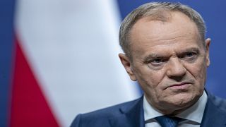 Poland's Prime Minister Donald Tusk pauses as he speaks, during a news conference following his meeting with Lithuania's Prime Minister Ingrida Simonyte.