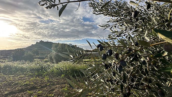 Una stalla ristrutturata e l'olio d'oliva: questa città spagnola ha rilanciato la sua comunità utilizzando i nomadi digitali 1 696x392 cmsv2 19626595 3ac1 5359 becd e8c4ce1e6ebe 8892888