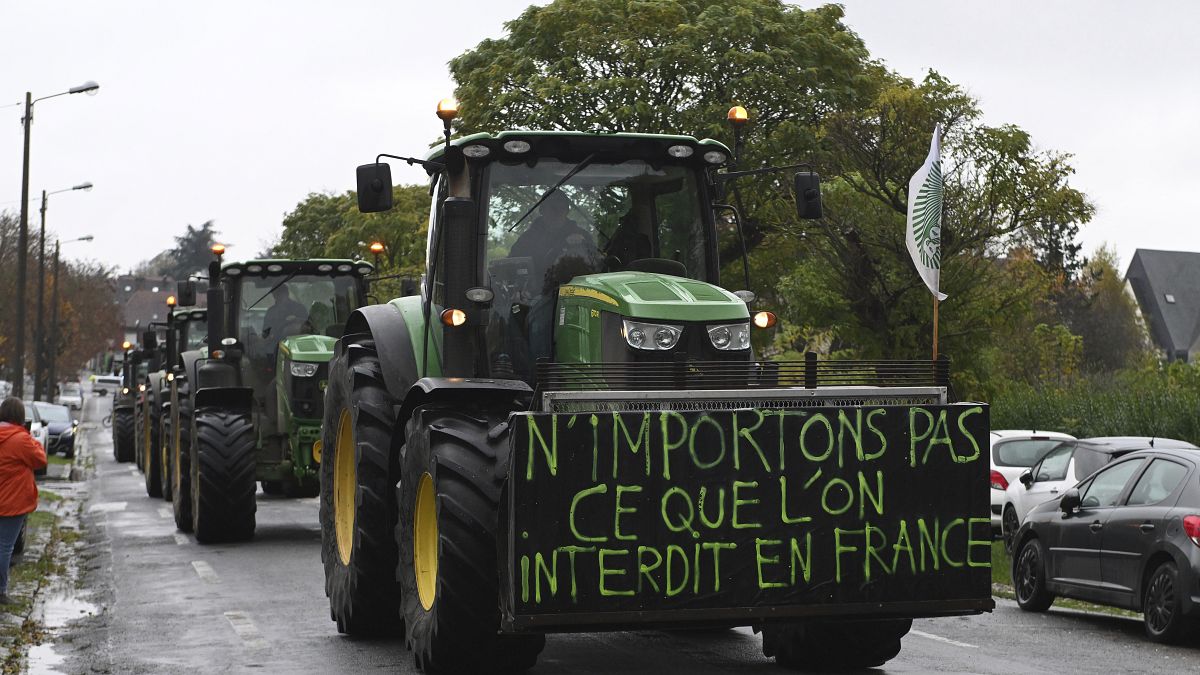 Οι ευρωβουλευτές για την αμφιλεγόμενη εμπορική συμφωνία ΕΕ – Λατινικής Αμερικής (Mercosur)