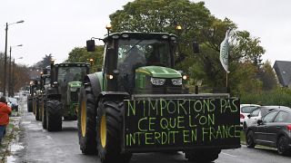 Un'immagine della protesta contro l'accordo Ue-Mercosur in Francia