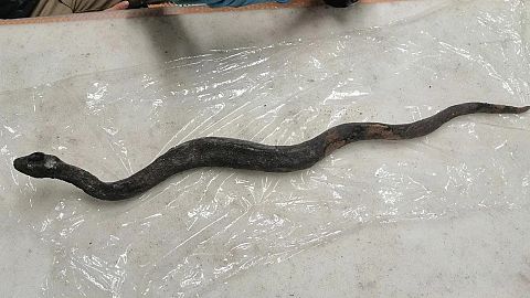 Sculpture of a bronze snake, found inside the thermal pool.