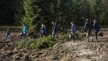 Voluntarios caminando sobre el terreno durante la revitalización de los lodazales de Malý Bor, Chequia. El Programa LIFE es el único que financia directamente este tipo de actuaciones sobre el terreno. Voluntarios caminando sobre el terreno durante la revitalización de los lodazales de Malý Bor, Chequia. El Programa LIFE es el único que financia directamente este tipo de actuaciones sobre el terreno.