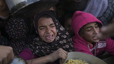 Civiles se aglomeran sobre los escasos puestos de comida en la zona Civiles se aglomeran sobre los escasos puestos de comida en la zona