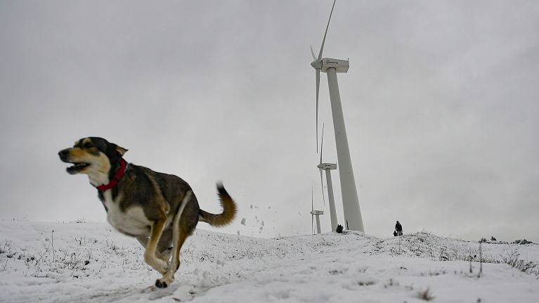 Storm Darragh cuts power
