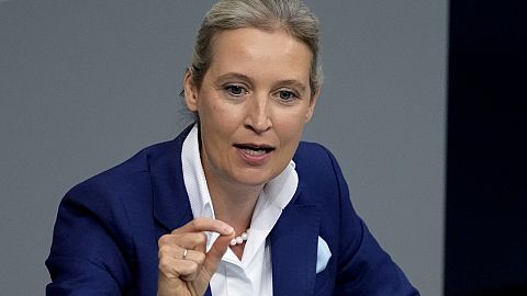 Alice Weidel