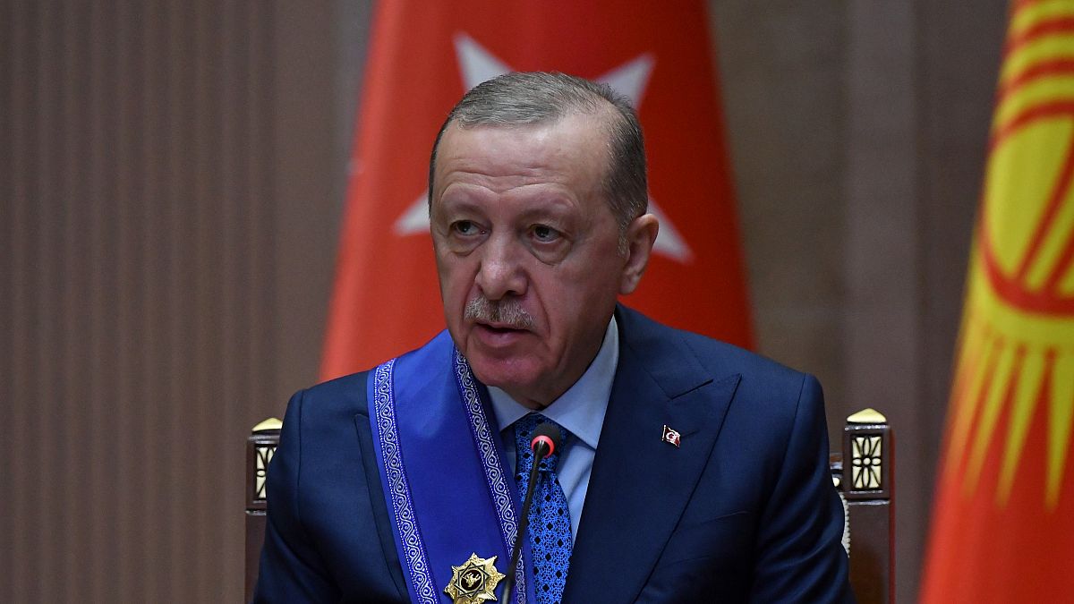 أردوغان: تركيا تتمنى لسوريا الهدوء والسلام بعد سنوات من الصراع ولا أطماع لنا في أراضي أي دولة