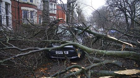 A car is seen underneath a fallen tree in Liverpool, 7 December, 2024