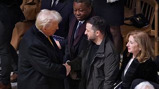 President-elect Donald Trump shakes hands with Ukraine's President Volodymyr Zelenskyy in Notre Dame Cathedral on Saturday, 7 December 2024. 
