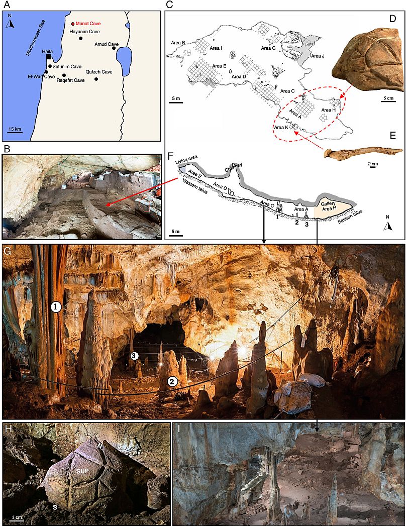 L'emplacement du site, le plan de la grotte avec les zones fouillées et les principales découvertes.