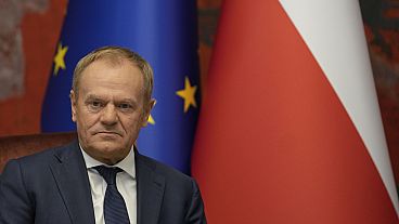 Il primo ministro della Polonia Donald Tusk Il primo ministro della Polonia Donald Tusk