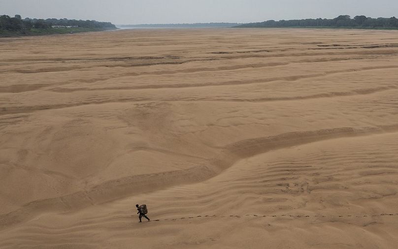 WPP- Aszály az Amazonas vidékén