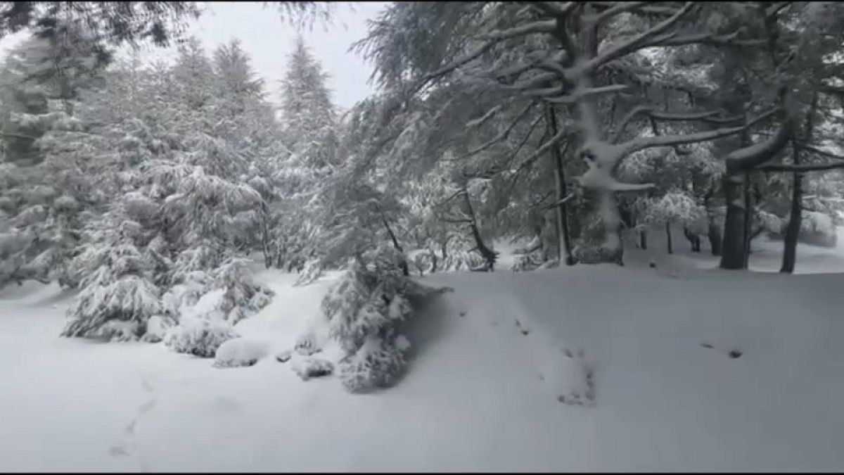 بعد ثلاثة أشهر من الجفاف.. سيريف الجزائرية ترتدي حلتها البيضاء مع أول تساقط للثلوج