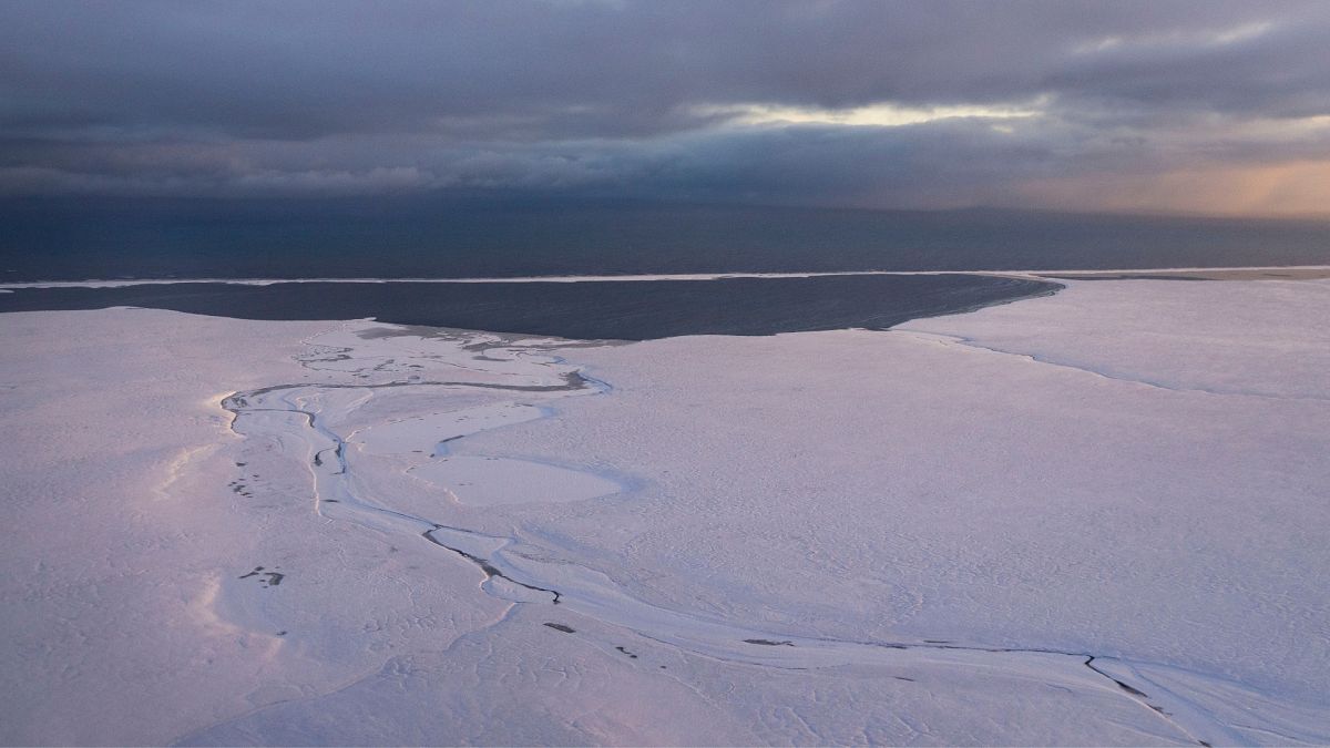 The Arctic tundra has transformed from carbon sink to carbon source, report finds