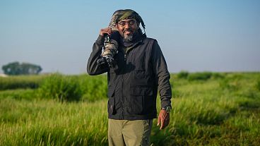  The wildlife photographer capturing Qatar's hidden animal kingdom