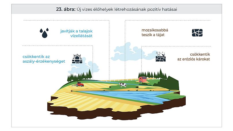 Vízes élőhelyek pozitív hatásai