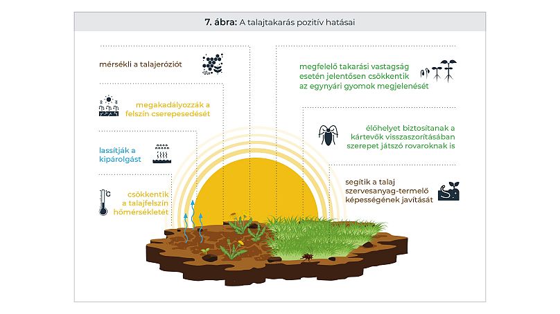 A talajtakarás előnyei