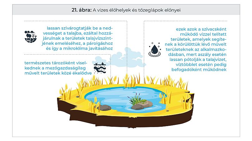 Vízes élőhelyek létrehozása