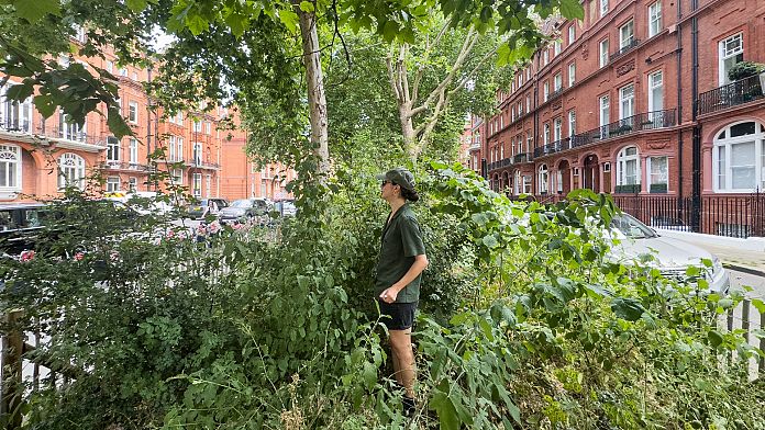 The Japanese micro-forest method is transforming cities