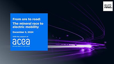 This event will delve into the challenges faced by European auto makers from sourcing, supply chain management, permitting and beyond.