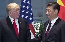 Donald Trump and Xi Jinping meet at the sidelines of the G20 summit in Hamburg in July 2017. 