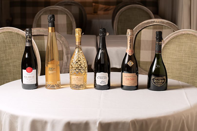 Top Cava brands 