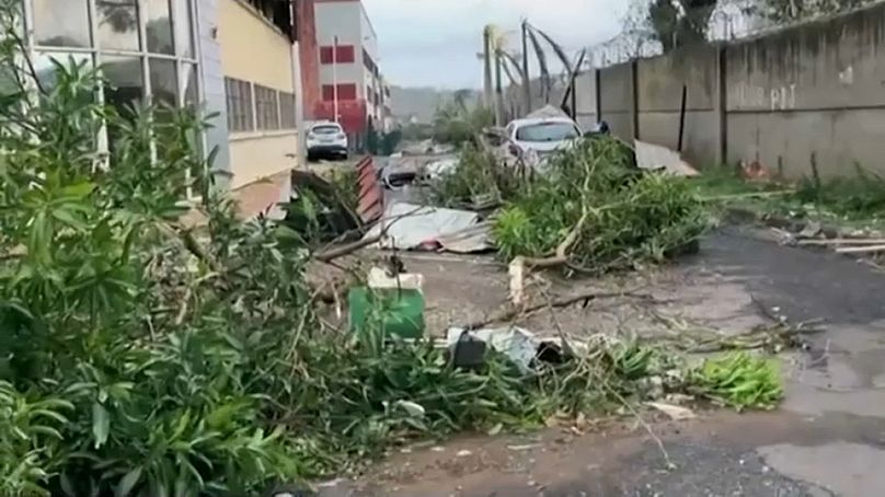 Trees blown down onto the streets of Mamoudzou in the French overseas department Mayotte, 14 December, 2024