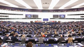 European Parliament in Strasbourg. 