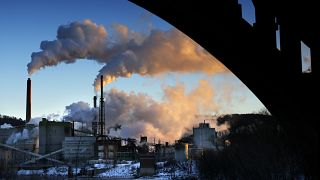 The EU's new law requires companies to check dodgy environmental and labour practices in supply chains